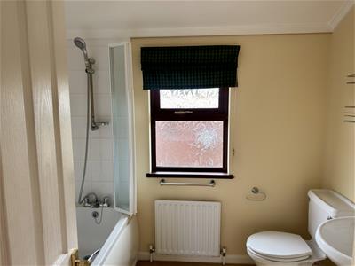 Picture 7